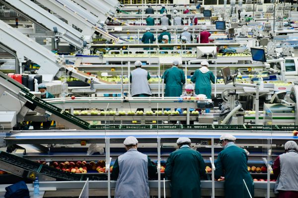 Top stratégies pour assurer la sécurité alimentaire en agroalimentaire